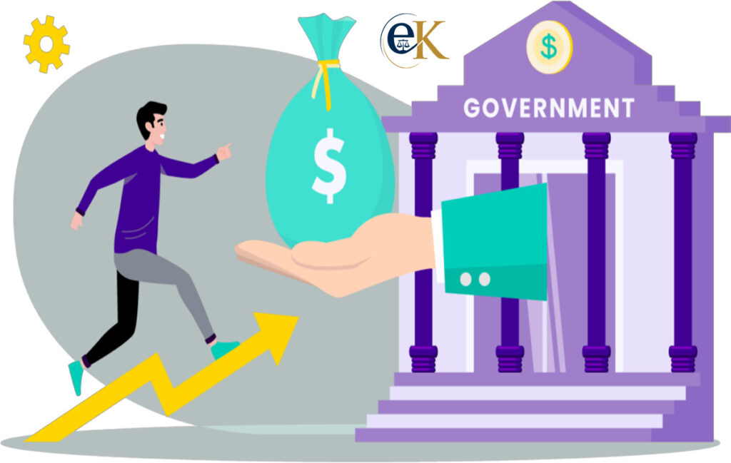 Government Grants