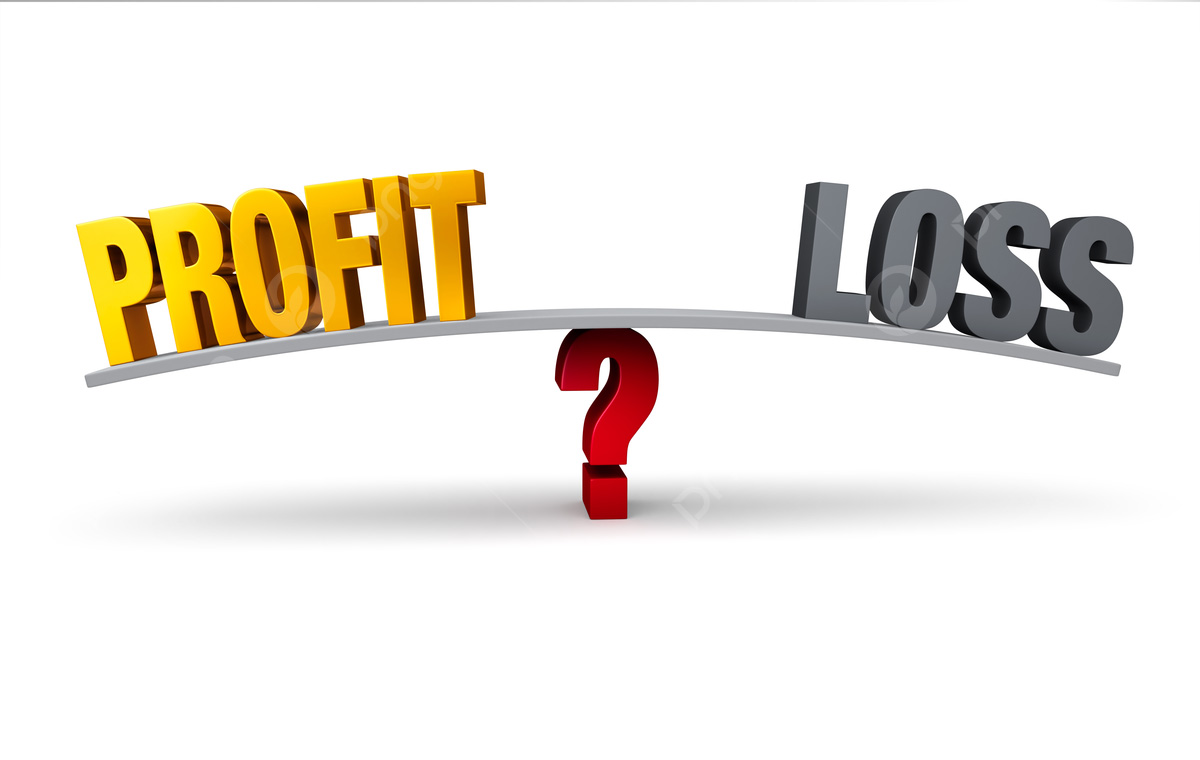 Profit & Loss Statement