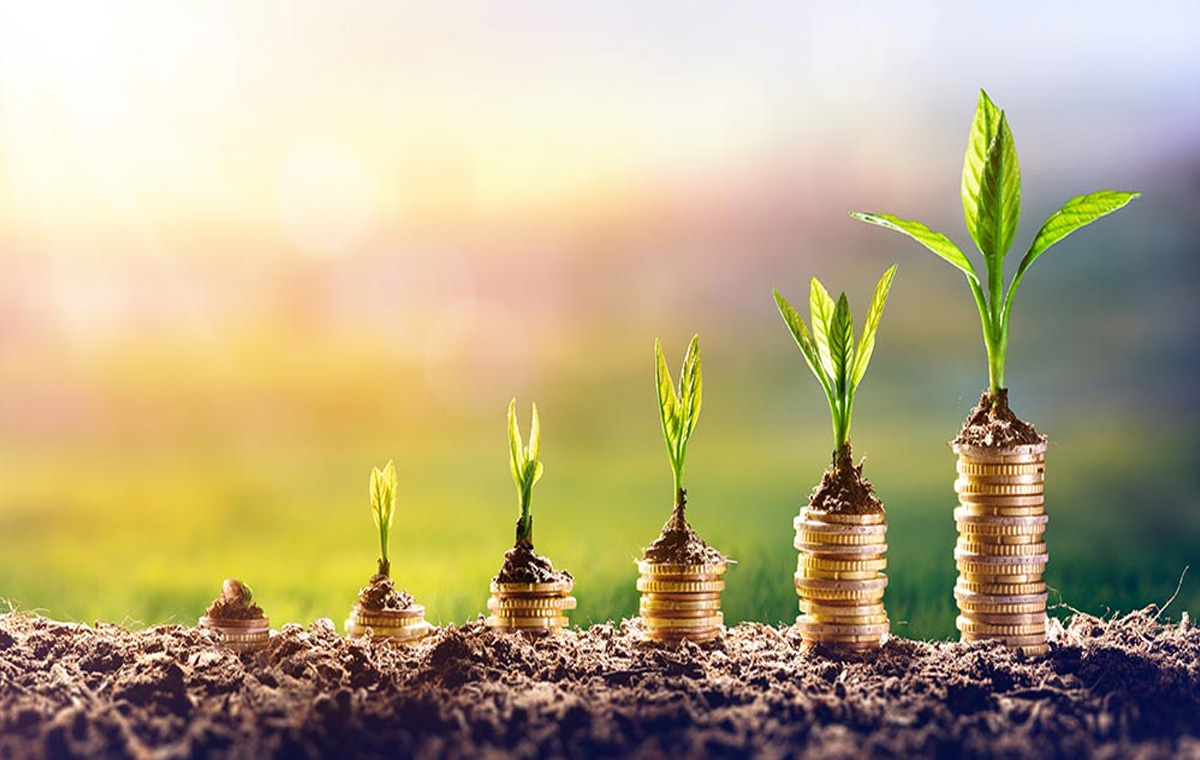 Seed Funding
